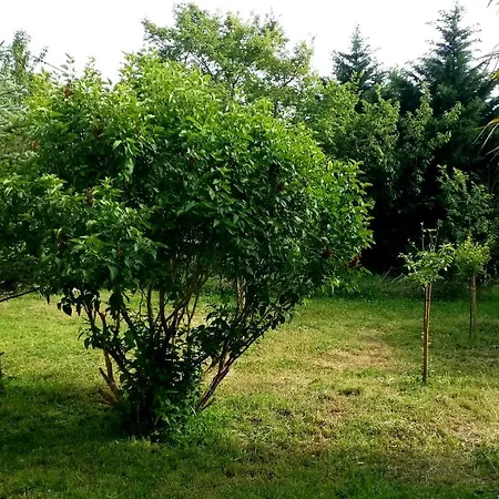 Ma Jolie Ferme Au Paradis Molandier